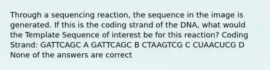 Through a sequencing reaction, the sequence in the image is generated. If this is the coding strand of the DNA, what would the Template Sequence of interest be for this reaction? Coding Strand: GATTCAGC A GATTCAGC B CTAAGTCG C CUAACUCG D None of the answers are correct