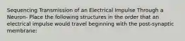 Sequencing Transmission of an Electrical Impulse Through a Neuron- Place the following structures in the order that an electrical impulse would travel beginning with the post-synaptic membrane: