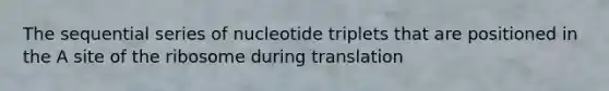 The sequential series of nucleotide triplets that are positioned in the A site of the ribosome during translation