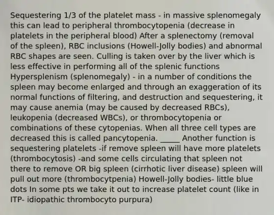 Sequestering 1/3 of the platelet mass - in massive splenomegaly this can lead to peripheral thrombocytopenia (decrease in platelets in the peripheral blood) After a splenectomy (removal of the spleen), RBC inclusions (Howell-Jolly bodies) and abnormal RBC shapes are seen. Culling is taken over by the liver which is less effective in performing all of the splenic functions Hypersplenism (splenomegaly) - in a number of conditions the spleen may become enlarged and through an exaggeration of its normal functions of filtering, and destruction and sequestering, it may cause anemia (may be caused by decreased RBCs), leukopenia (decreased WBCs), or thrombocytopenia or combinations of these cytopenias. When all three cell types are decreased this is called pancytopenia. _____ Another function is sequestering platelets -if remove spleen will have more platelets (thrombocytosis) -and some cells circulating that spleen not there to remove OR big spleen (cirrhotic liver disease) spleen will pull out more (thrombocytpenia) Howell-Jolly bodies- little blue dots In some pts we take it out to increase platelet count (like in ITP- idiopathic thrombocyto purpura)