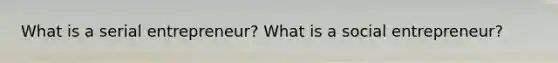 What is a serial entrepreneur? What is a social entrepreneur?