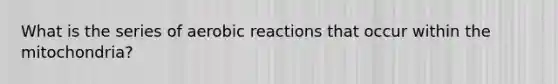 What is the series of aerobic reactions that occur within the mitochondria?