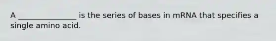 A _______________ is the series of bases in mRNA that specifies a single amino acid.