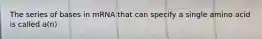 The series of bases in mRNA that can specify a single amino acid is called a(n)