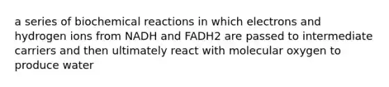 a series of <a href='https://www.questionai.com/knowledge/kVn7fMxiFS-biochemical-reactions' class='anchor-knowledge'>biochemical reactions</a> in which electrons and hydrogen ions from NADH and FADH2 are passed to intermediate carriers and then ultimately react with molecular oxygen to produce water