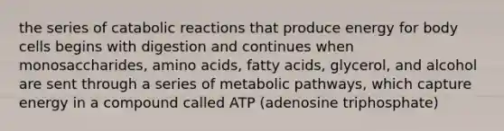 the series of catabolic reactions that produce energy for body cells begins with digestion and continues when monosaccharides, amino acids, fatty acids, glycerol, and alcohol are sent through a series of metabolic pathways, which capture energy in a compound called ATP (adenosine triphosphate)