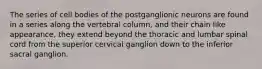 The series of cell bodies of the postganglionic neurons are found in a series along the vertebral column, and their chain like appearance, they extend beyond the thoracic and lumbar spinal cord from the superior cervical ganglion down to the inferior sacral ganglion.