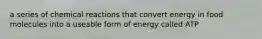 a series of chemical reactions that convert energy in food molecules into a useable form of energy called ATP