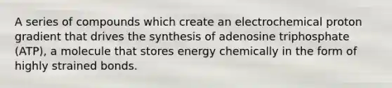 A series of compounds which create an electrochemical proton gradient that drives the synthesis of adenosine triphosphate (ATP), a molecule that stores energy chemically in the form of highly strained bonds.