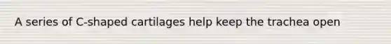 A series of C-shaped cartilages help keep the trachea open