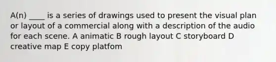 A(n) ____ is a series of drawings used to present the visual plan or layout of a commercial along with a description of the audio for each scene. A animatic B rough layout C storyboard D creative map E copy platfom