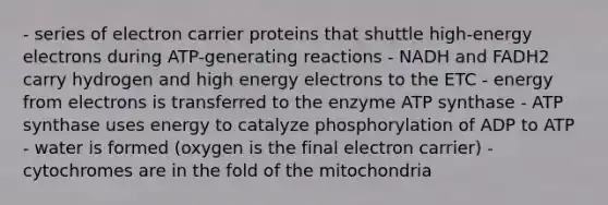 - series of electron carrier proteins that shuttle high-energy electrons during ATP-generating reactions - NADH and FADH2 carry hydrogen and high energy electrons to the ETC - energy from electrons is transferred to the enzyme ATP synthase - ATP synthase uses energy to catalyze phosphorylation of ADP to ATP - water is formed (oxygen is the final electron carrier) - cytochromes are in the fold of the mitochondria