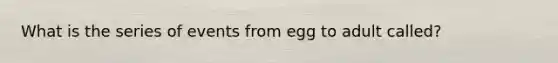 What is the series of events from egg to adult called?