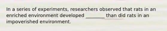 In a series of experiments, researchers observed that rats in an enriched environment developed ________ than did rats in an impoverished environment.