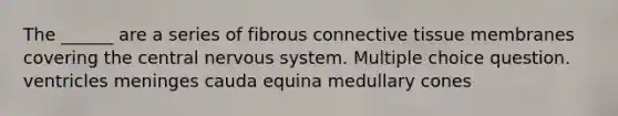 The ______ are a series of fibrous connective tissue membranes covering the central nervous system. Multiple choice question. ventricles meninges cauda equina medullary cones