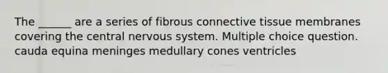 The ______ are a series of fibrous connective tissue membranes covering the central nervous system. Multiple choice question. cauda equina meninges medullary cones ventricles