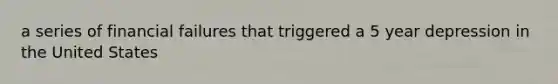 a series of financial failures that triggered a 5 year depression in the United States