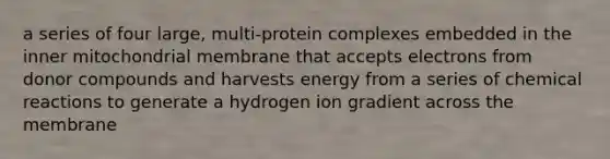 a series of four large, multi-protein complexes embedded in the inner mitochondrial membrane that accepts electrons from donor compounds and harvests energy from a series of chemical reactions to generate a hydrogen ion gradient across the membrane