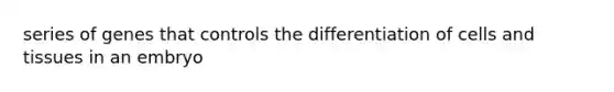 series of genes that controls the differentiation of cells and tissues in an embryo