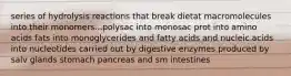 series of hydrolysis reactions that break dietat macromolecules into their monomers...polysac into monosac prot into amino acids fats into monoglycerides and fatty acids and nucleic acids into nucleotides carried out by digestive enzymes produced by salv glands stomach pancreas and sm intestines