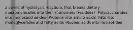 a series of hydrolysis reactions that breaks dietary macromolecules into their monomers (residues) -Polysaccharides into monosaccharides -Proteins into amino acids -Fats into monoglycerides and fatty acids -Nucleic acids into nucleotides