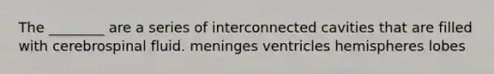 The ________ are a series of interconnected cavities that are filled with cerebrospinal fluid. meninges ventricles hemispheres lobes
