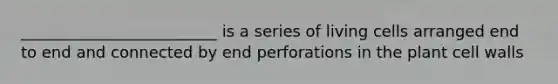 _________________________ is a series of living cells arranged end to end and connected by end perforations in the plant cell walls