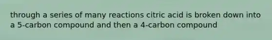 through a series of many reactions citric acid is broken down into a 5-carbon compound and then a 4-carbon compound