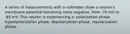 A series of measurements with a voltmeter show a neuron's membrane potential becoming more negative, from -70 mV to -85 mV. This neuron is experiencing a: polarization phase. hyperpolarization phase. depolarization phase. repolarization phase.