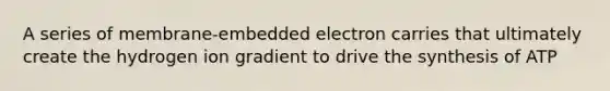 A series of membrane-embedded electron carries that ultimately create the hydrogen ion gradient to drive the synthesis of ATP