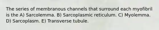 The series of membranous channels that surround each myofibril is the A) Sarcolemma. B) Sarcoplasmic reticulum. C) Myolemma. D) Sarcoplasm. E) Transverse tubule.