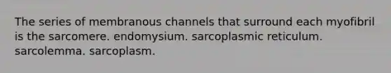 The series of membranous channels that surround each myofibril is the sarcomere. endomysium. sarcoplasmic reticulum. sarcolemma. sarcoplasm.