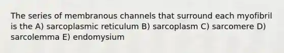 The series of membranous channels that surround each myofibril is the A) sarcoplasmic reticulum B) sarcoplasm C) sarcomere D) sarcolemma E) endomysium