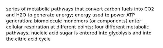 series of metabolic pathways that convert carbon fuels into CO2 and H2O to generate energy; energy used to power ATP generation; biomolecule monomers (or components) enter <a href='https://www.questionai.com/knowledge/k1IqNYBAJw-cellular-respiration' class='anchor-knowledge'>cellular respiration</a> at different points; four different metabolic pathways; nucleic acid sugar is entered into glycolysis and into the citric acid cycle