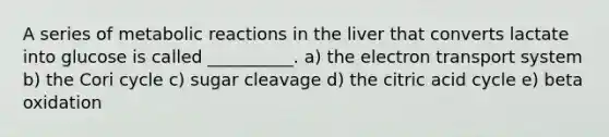 A series of metabolic reactions in the liver that converts lactate into glucose is called __________. a) the electron transport system b) the Cori cycle c) sugar cleavage d) the citric acid cycle e) beta oxidation