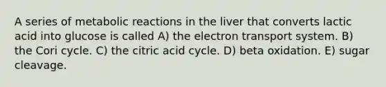 A series of metabolic reactions in the liver that converts lactic acid into glucose is called A) the electron transport system. B) the Cori cycle. C) the citric acid cycle. D) beta oxidation. E) sugar cleavage.