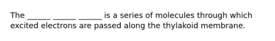 The ______ ______ ______ is a series of molecules through which excited electrons are passed along the thylakoid membrane.
