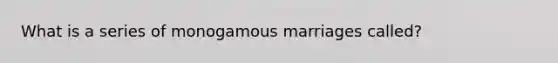 What is a series of monogamous marriages called?