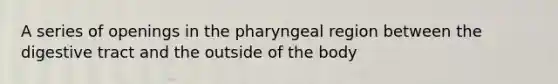 A series of openings in the pharyngeal region between the digestive tract and the outside of the body