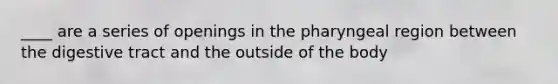 ____ are a series of openings in the pharyngeal region between the digestive tract and the outside of the body