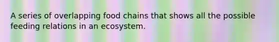 A series of overlapping food chains that shows all the possible feeding relations in an ecosystem.