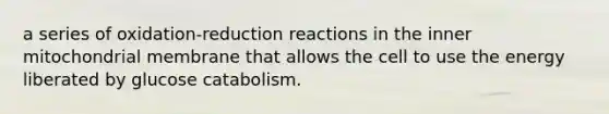 a series of oxidation-reduction reactions in the inner mitochondrial membrane that allows the cell to use the energy liberated by glucose catabolism.