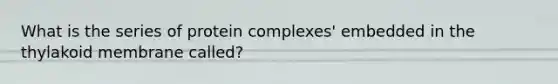 What is the series of protein complexes' embedded in the thylakoid membrane called?