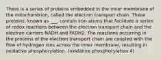 There is a series of proteins embedded in the inner membrane of the mitochondrion, called the electron transport chain. These proteins, known as ___, contain iron atoms that facilitate a series of redox reactions between the electron transport chain and the electron carriers NADH and FADH2. The reactions occurring in the proteins of the electron transport chain are coupled with the flow of hydrogen ions across the inner membrane, resulting in oxidative phosphorylation. (oxidative phosphorylation 4)