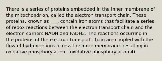 There is a series of proteins embedded in the inner membrane of the mitochondrion, called <a href='https://www.questionai.com/knowledge/k57oGBr0HP-the-electron-transport-chain' class='anchor-knowledge'>the electron transport chain</a>. These proteins, known as ___, contain iron atoms that facilitate a series of redox reactions between the electron transport chain and the electron carriers NADH and FADH2. The reactions occurring in the proteins of the electron transport chain are coupled with the flow of hydrogen ions across the inner membrane, resulting in <a href='https://www.questionai.com/knowledge/kFazUb9IwO-oxidative-phosphorylation' class='anchor-knowledge'>oxidative phosphorylation</a>. (oxidative phosphorylation 4)