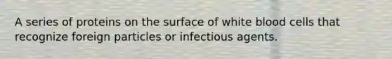 A series of proteins on the surface of white blood cells that recognize foreign particles or infectious agents.