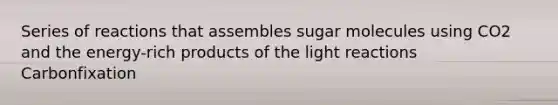 Series of reactions that assembles sugar molecules using CO2 and the energy-rich products of the light reactions Carbonfixation