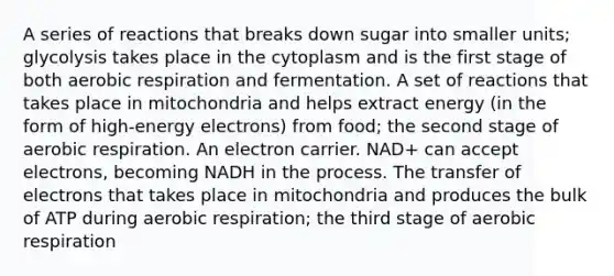 A series of reactions that breaks down sugar into smaller units; glycolysis takes place in the cytoplasm and is the first stage of both aerobic respiration and fermentation. A set of reactions that takes place in mitochondria and helps extract energy (in the form of high-energy electrons) from food; the second stage of aerobic respiration. An electron carrier. NAD+ can accept electrons, becoming NADH in the process. The transfer of electrons that takes place in mitochondria and produces the bulk of ATP during aerobic respiration; the third stage of aerobic respiration