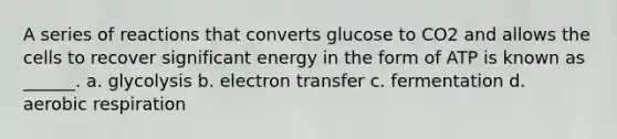 A series of reactions that converts glucose to CO2 and allows the cells to recover significant energy in the form of ATP is known as ______. a. glycolysis b. <a href='https://www.questionai.com/knowledge/kzP6QOcY63-electron-transfer' class='anchor-knowledge'>electron transfer</a> c. fermentation d. <a href='https://www.questionai.com/knowledge/kyxGdbadrV-aerobic-respiration' class='anchor-knowledge'>aerobic respiration</a>