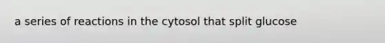 a series of reactions in the cytosol that split glucose